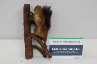opgezette eekhoorn op houten tak decoratie – kavel bij GSD Auctions, Zoeterwoude