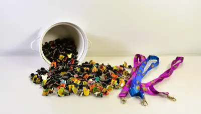 Grote verzameling Disney en Pixar pins – Carrefour België – 2010 – kavel bij De Kringwinkel, Turnhout