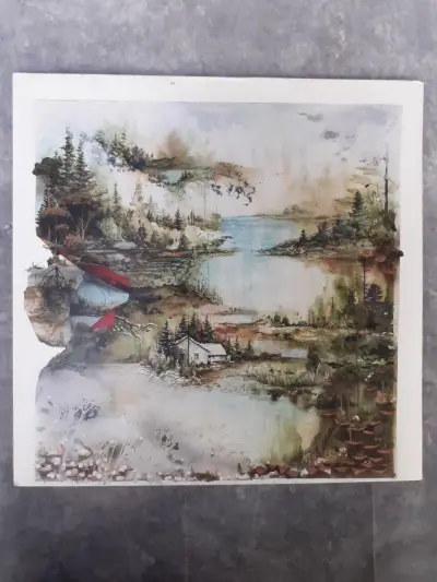 Vinyl: Bon Iver - Bon Iver Bon Iver – kavel bij De Kringwinkel, Gent