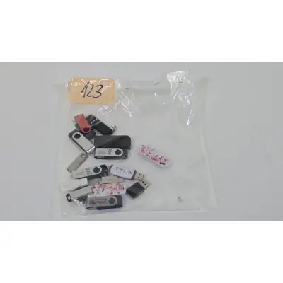 Posten verschiedene USB Sticks (17 Stk.) – kavel bij Luedtke Versteigerungen, Wandlitz (Schönwalde)