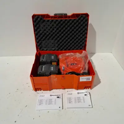 Accupakket (2 accu's incl. lader) – kavel bij Onlineveilingmeester, Heerenveen