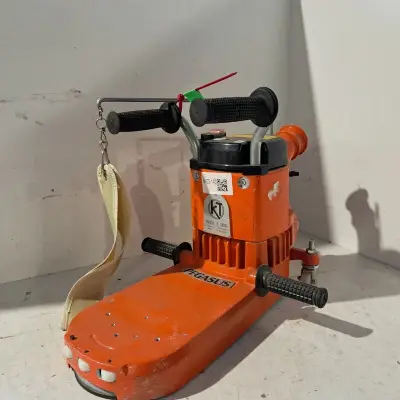 Kantenschuurmachine - 300mm - 230V, Künzle & Tasin, Pegasus, 2018 – kavel bij Onlineveilingmeester, Heerenveen