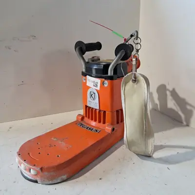 Kantenschuurmachine - 300mm - 230V, Künzle & Tasin, Pegasus, 2018 – kavel bij Onlineveilingmeester, Heerenveen