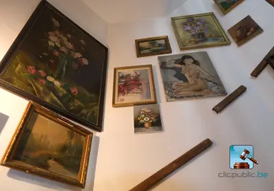 Set van frames – kavel bij Clicpublic, Liège