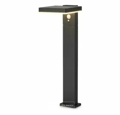 Maxxgarden Tuinverlichting 50 cm - LED-buitenverlichting met bewegingssensor op zonne-energie - Zwart – kavel bij Belga Veilingen, Bree