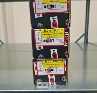 Kelfort spaanplaatschroef 6x100 torx - deeldraad 3x 50st – kavel bij Belga Veilingen, Bree