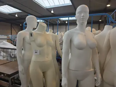(10x) diverse paspoppen Eurodisplay – kavel bij Auctim, Aartselaar