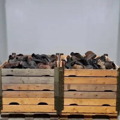 Partij diverse schoenen – kavel bij Domeinen Roerende Zaken, Groningen