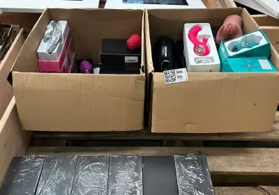 Partij seksspeeltjes w.o. vibrators W.o. Lovense – kavel bij Onlineveilingmeester, Hoogeveen