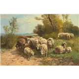 Henry Schouten – Schapen op de heide, gesigneerd linksonder, olieverf op doek, 60 x 90 cm – kavel bij Venduhuis De Eland