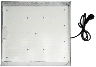 5x LED Kweeklamp 100W Full Spectrum, Cannalights, 2147483647, grijs – kavel bij Onlineveilingmeester
