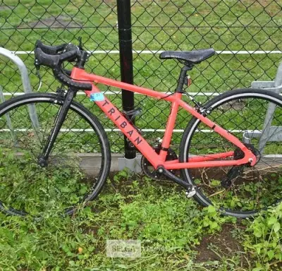 TRIBAN racefiets – kavel bij Belga Veilingen