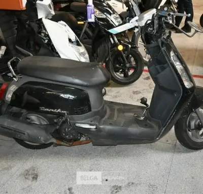Scooter SYM – kavel bij Belga Veilingen, Scooters