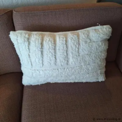 Sierkussen - 60x40cm – kavel bij ProVeiling, Wehl