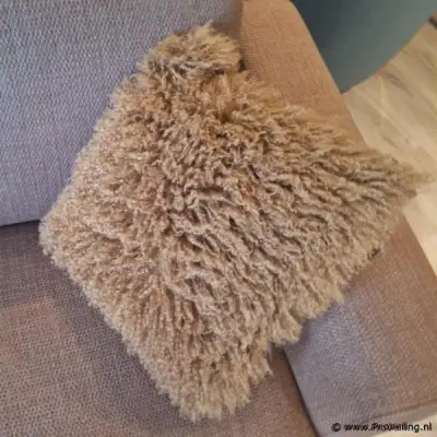 Claudi Azila Sierkussen Exclusive Camel - 50x50cm – kavel bij ProVeiling, Wehl