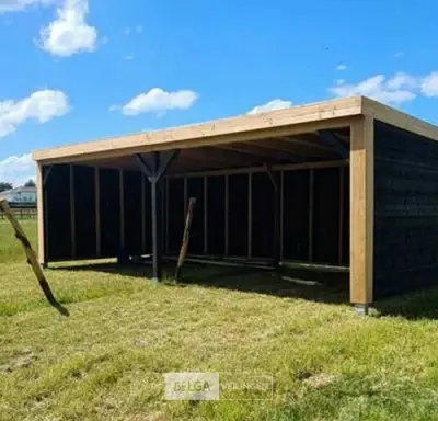 Schuilstal overkapping douglas, afm 400x300x H 265 cm, doorloophoogte 235 cm – kavel bij Belga Veilingen, Lummen
