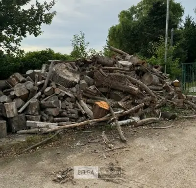 Partij hout – kavel bij Belga Veilingen