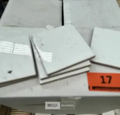 Tegels 1 doos – kavel bij Belga Veilingen, Lummen