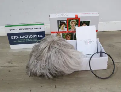 Gisela Mayer MH Hair pruik grijs – kavel bij GSD Auctions, Zoeterwoude