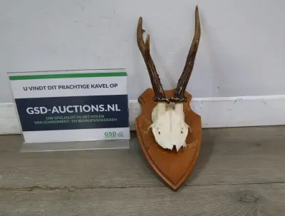 Gewei op houten schild – kavel bij GSD Auctions, Zoeterwoude