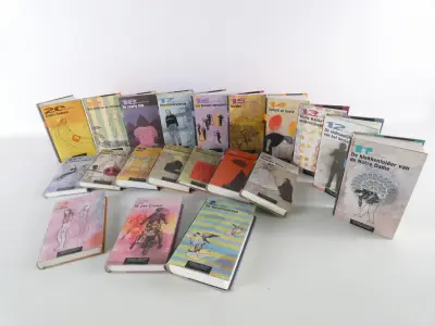 Lot van 20 boeken – De Morgen: De Verboden Boeken (2003) – kavel bij De Kringwinkel, Heverlee