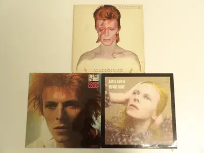 Lot David Bowie Lp's (A) – kavel bij De Kringwinkel, Leopoldsburg