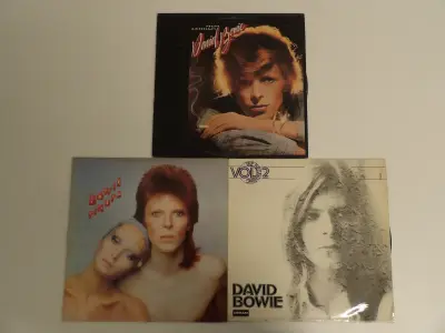 Lot David Bowie Lp's (B) – kavel bij De Kringwinkel, Leopoldsburg