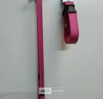 1 x Hondenlijn 1,4M + halsband 50 cm roze Rogz met fluo strip – kavel bij Belga Veilingen, Oudsbergen