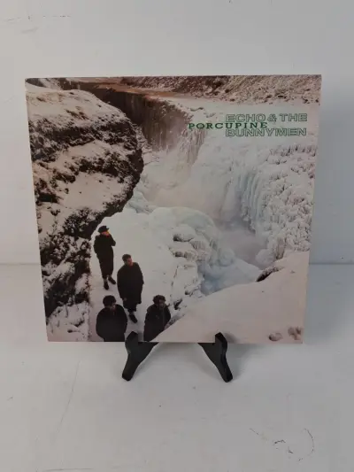 LP: Echo and the Bunnymen: "Porcupine" – kavel bij De Kringwinkel, Oostkamp