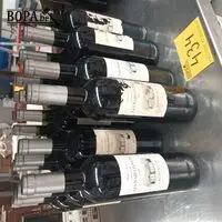 Flessen Bordeaux wijn. 17 stuks – kavel bij BOPA Auctions, Tielt
