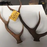 Geweien. 2 stuks – kavel bij BOPA Auctions, Tielt