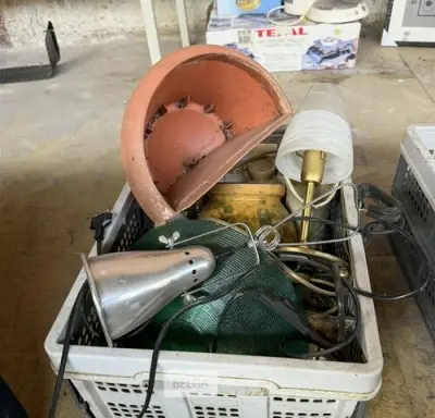 Bak met bloempotten en verlichting – kavel bij Belga Veilingen, Zonhoven