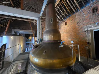 Historisch koperen "ui-vormige" alambiek/pot – kavel bij Auctim, Fexhe Le Haut Clocher