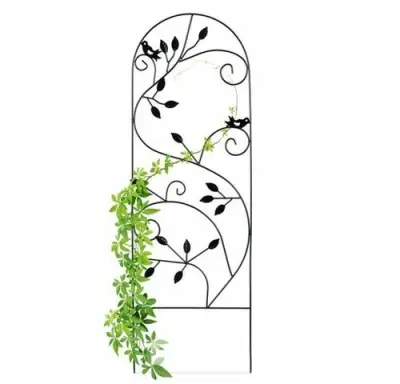Klimplantensteun – kavel bij Belga Veilingen, Balen
