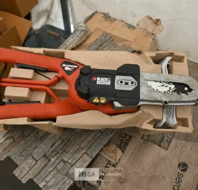 BLACK&DECKER elektrische snoeizaag – kavel bij Belga Veilingen, Retie