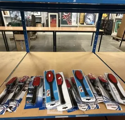 Lot van 14 kledingborstels – kavel bij Belga Veilingen