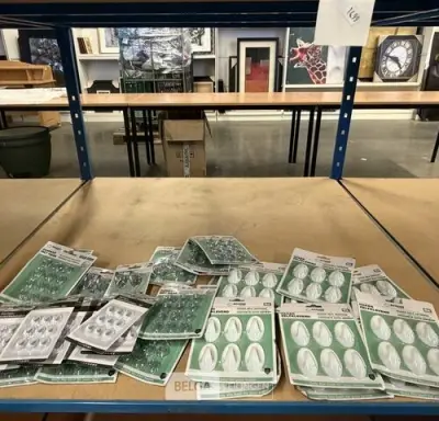 Lot van kleine huishoudelijke bevestigingsartikelen – kavel bij Belga Veilingen