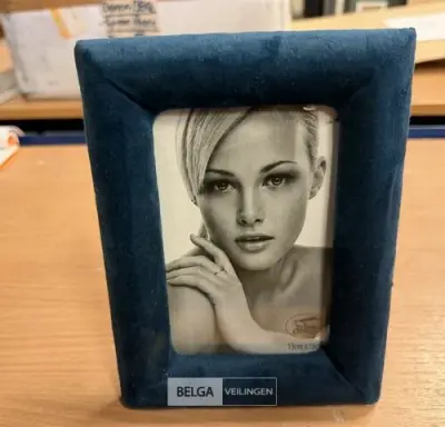 Doos met fluwelen fotokadertjes – kavel bij Belga Veilingen