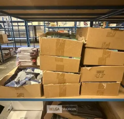 Partij lampen Neoginyus – kavel bij Belga Veilingen