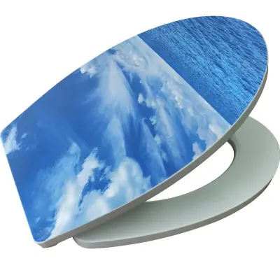 5x Wc brillen softclose met print, Wellwater, blauw/wit – kavel bij Onlineveilingmeester, Zutphen