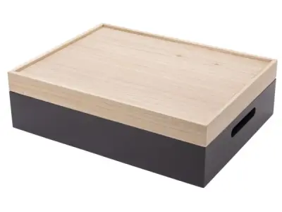 Luxe Opbergbox met Dienblad – kavel bij XL Auctions