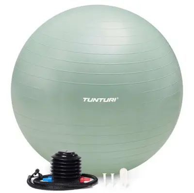 Tunturi Anti Burst Fitness bal met Pomp - Yoga bal 90 cm – kavel bij GSD Auctions, Zoeterwoude