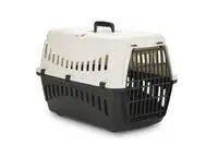 Beeztees Gypsy - Reismand - Creme Antraciet - 33x38x58 cm – kavel bij GSD Auctions, Zoeterwoude