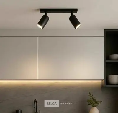4 x GU10 Opbouwspot Armatuur – 2 Draaibare Spots – IP20 – Zwart – kavel bij Belga Veilingen