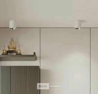 10 x Downlight Fitting – Opbouwarmatuur – GU10 – Cilindrisch – Wit/Bruin – kavel bij Belga Veilingen