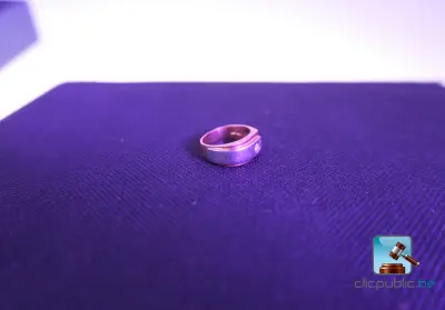 Tweekleurige gouden zegelring met diamant – kavel bij Clicpublic, Nivelles