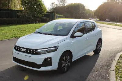 Dacia sandero, 999 cm³, benzine – kavel bij Trans Executive