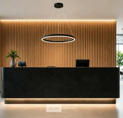 LED Ring Hanglamp 35W – 3CCT Dimbaar - Zwart – IP20 – HARVEY-35 3CCT – kavel bij Belga Veilingen