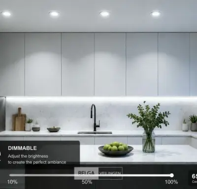25 x LED Downlight – 7W – Draaibaar – Dimbaar – 6500K Koud Wit – Zilver – kavel bij Belga Veilingen