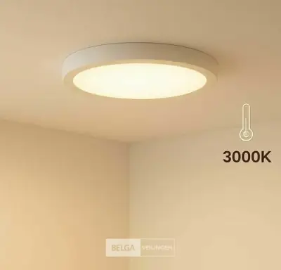 10 x LED Paneel – Rond Opbouw – 30W – 3000K Warm Wit – IP20 – kavel bij Belga Veilingen